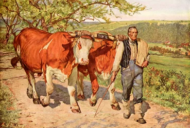 Il contadino